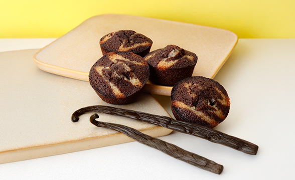 大阪ショコラ・フィナンシェ〈バニラ〉