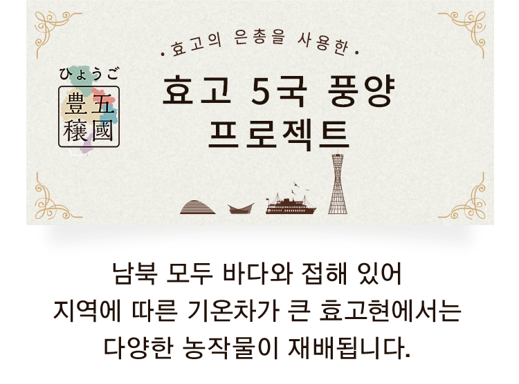 효고 5국 풍양프로젝트