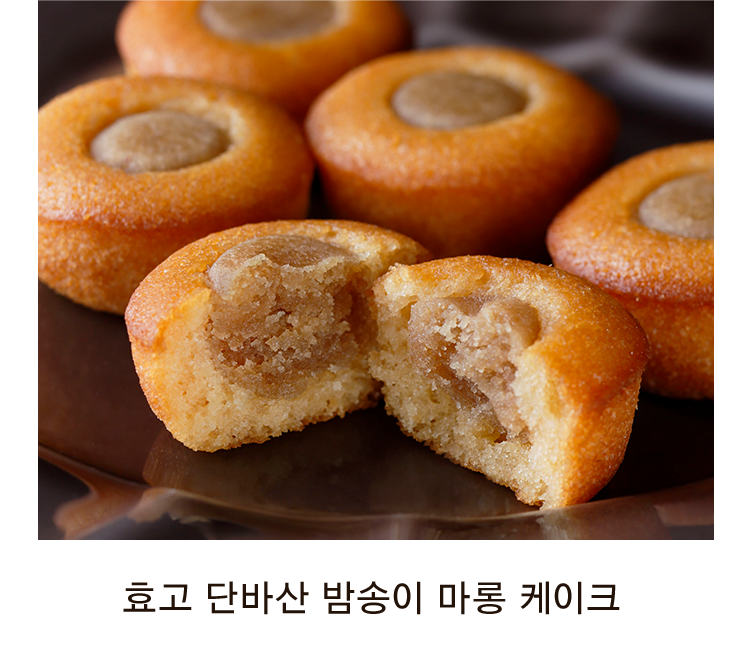 효고 단바산 밤송이 마롱 케이크